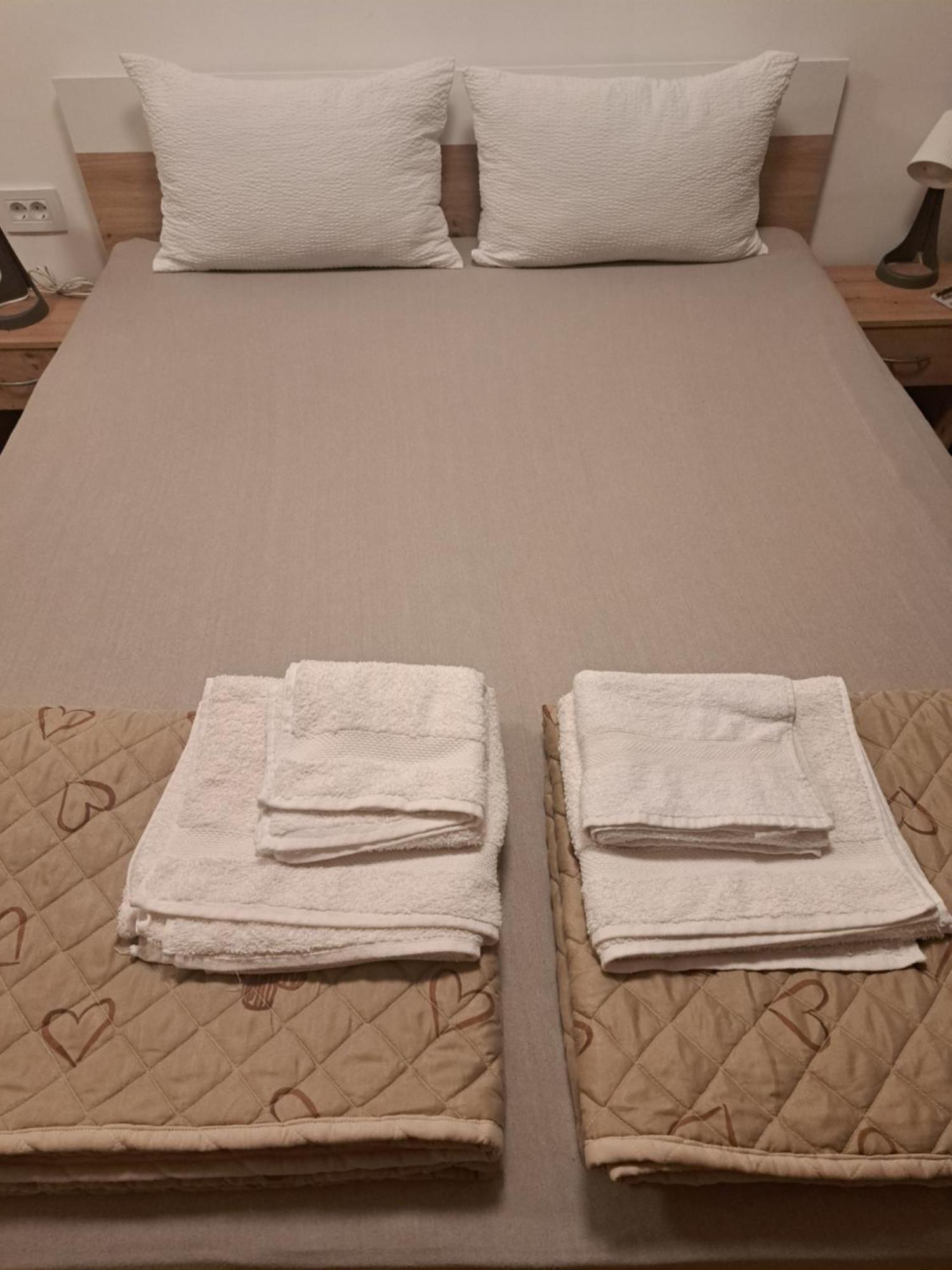 Ruza - House Of Roses Apartment