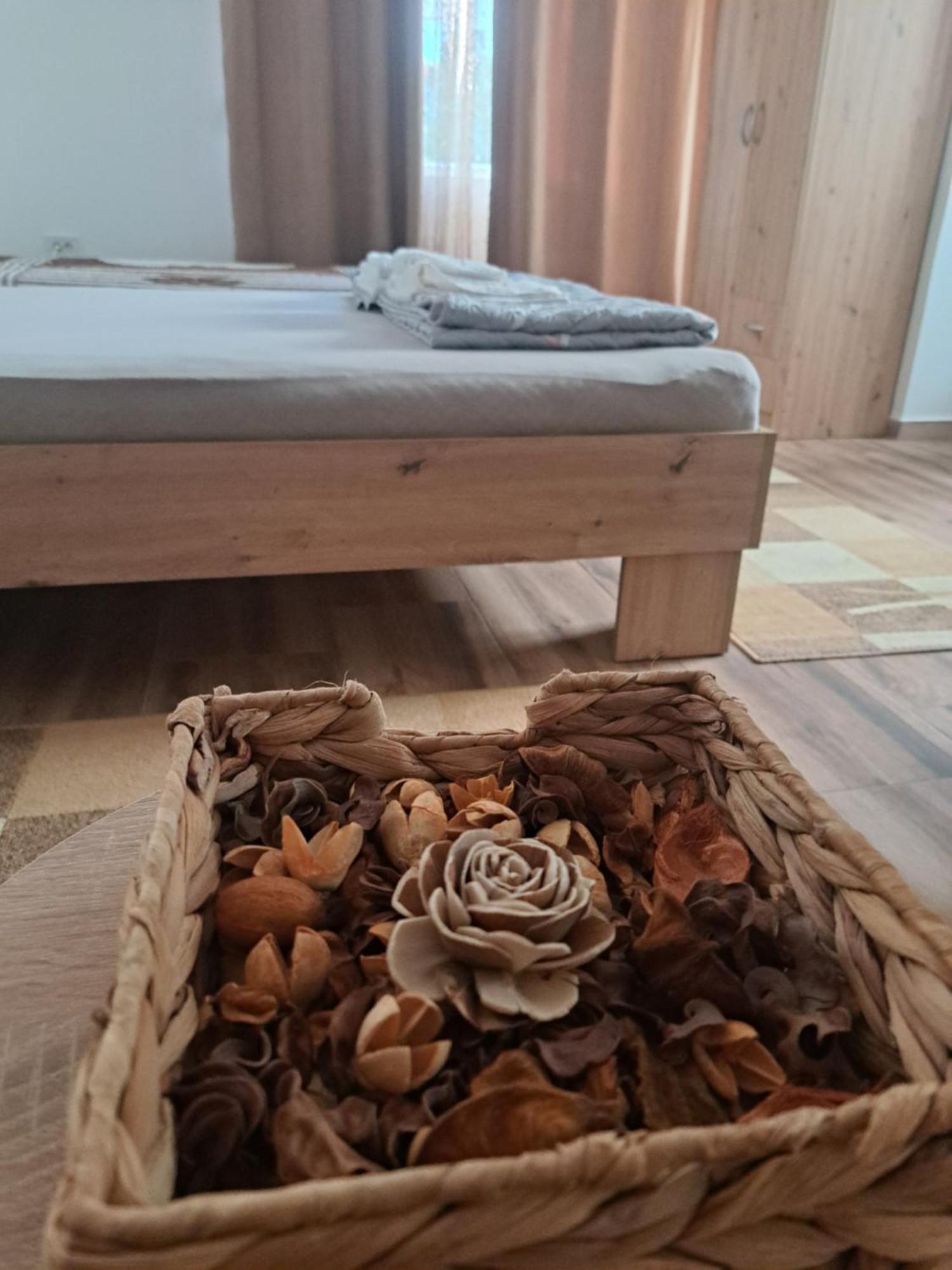 Apartment Ruza - House Of Roses Soko Banja