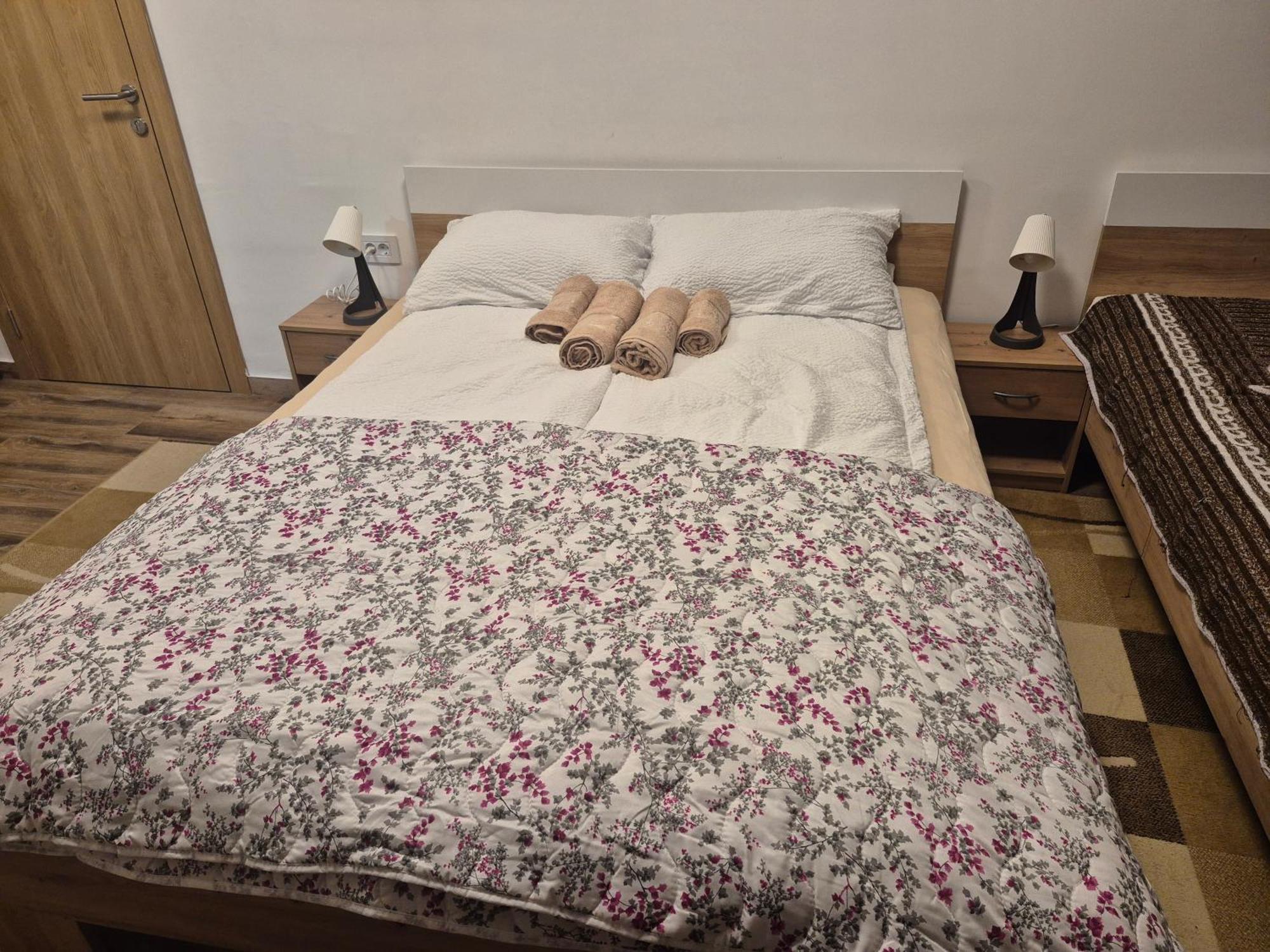 Ruza - House Of Roses Apartment Soko Banja